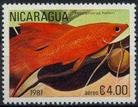 Nicaragua 1981 Tropical Fish