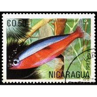 Nicaragua 1981 Tropical Fish