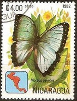 Nicaragua 1982 Airmail - Butterflies