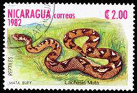 Nicaragua 1982 Reptiles