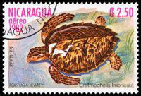 Nicaragua 1982 Reptiles