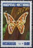 Nicaragua 1983 Moths