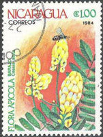 Nicaragua 1984 Apicultural Flowers