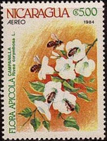 Nicaragua 1984 Apicultural Flowers