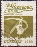 Nicaragua 1985 Definitives - Flowers