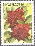 Nicaragua 1988 Airmail - Flowers