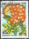 Nicaragua 1988 Airmail - Flowers