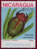 Nicaragua 1988 Beetles