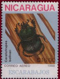 Nicaragua 1988 Beetles