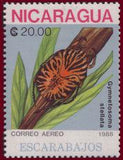 Nicaragua 1988 Beetles
