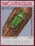 Nicaragua 1988 Beetles