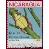 Nicaragua 1988 Beetles