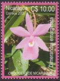 Nicaragua 2005 Orchids