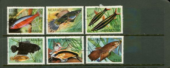 Nicaragua Fishes , 6 stamps - Nicaragua Fishes , 6 stamps