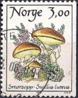 Norway 1989 Mushrooms (3rd series)-Stamps-Norway-Mint-StampPhenom