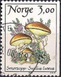 Norway 1989 Mushrooms (3rd series)-Stamps-Norway-Mint-StampPhenom