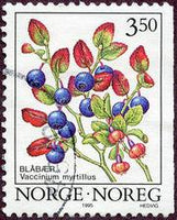 Norway 1995 Wild Berries (1st series)-Stamps-Norway-Mint-StampPhenom