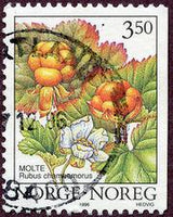 Norway 1996 Wild Berries (2nd series)-Stamps-Norway-Mint-StampPhenom