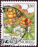 Norway 1996 Wild Berries (2nd series)-Stamps-Norway-Mint-StampPhenom
