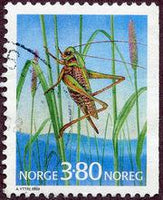 Norway 1998 Insects (2nd series)-Stamps-Norway-Mint-StampPhenom