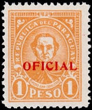 Paraguay 1935 Pedro Juan Caballero-Stamps-Paraguay-Mint-StampPhenom
