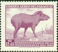 Paraguay 1961 Tapir (Tapirus terrestris)-Stamps-Paraguay-Mint-StampPhenom