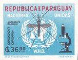 Paraguay 1962 Fight Against Malaria-Stamps-Paraguay-Mint-StampPhenom