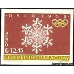 Paraguay 1963 Snow Crystals-Stamps-Paraguay-Mint-StampPhenom