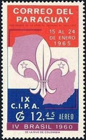 Paraguay 1965 Brazil, 1960-Stamps-Paraguay-Mint-StampPhenom