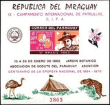 Paraguay 1965 Brazil, 1963-Stamps-Paraguay-Mint-StampPhenom