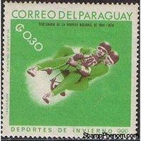 Paraguay 1966 Luge-Stamps-Paraguay-Mint-StampPhenom