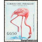 Paraguay 1969 American Flamingo (Phoenicopterus ruber)-Stamps-Paraguay-StampPhenom