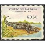 Paraguay 1969 Common Caiman (Caiman crocodilus)-Stamps-Paraguay-StampPhenom