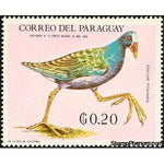 Paraguay 1969 Purple Gallinule (Porphyrula martinica)-Stamps-Paraguay-StampPhenom