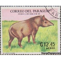 Paraguay 1969 South American tapir (Tapirus terrestris)-Stamps-Paraguay-StampPhenom