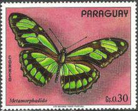 Paraguay 1973 South American Butterflies