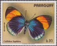 Paraguay 1973 South American Butterflies