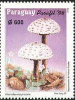 Paraguay 1998 Fungi