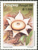Paraguay 1998 Fungi