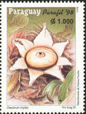 Paraguay 1998 Fungi