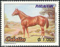 Paraguay 2002 Horses