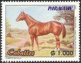 Paraguay 2002 Horses