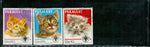 Paraguay Cats , 3 stamps