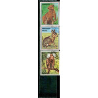 Paraguay Lot 3 , 3 stamps