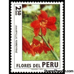 Peru 1972 Amaryllis ferreyrae