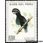 Peru 1972 Amazonian Umbrellabird (Cephalopterus ornatus)