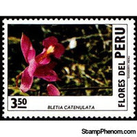 Peru 1972 Bletia catenulata