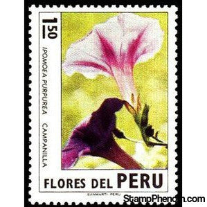 Peru 1972 Campanilla (Ipomoea purpurea)