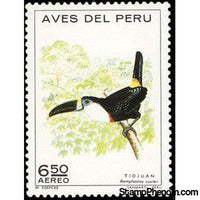 Peru 1972 Cuvier's Toucan (Ramphastos cuvieri)