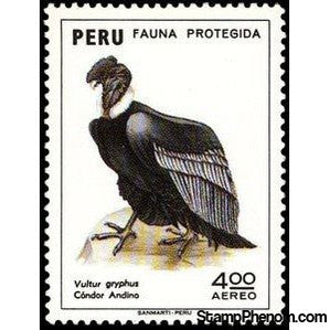 Peru 1973 Andean Condor (Vultur gryphus)